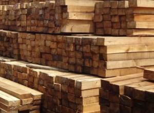 Jual Kayu Albasia Papan Balok kaso usuk dan gelondongan murah kualitas super